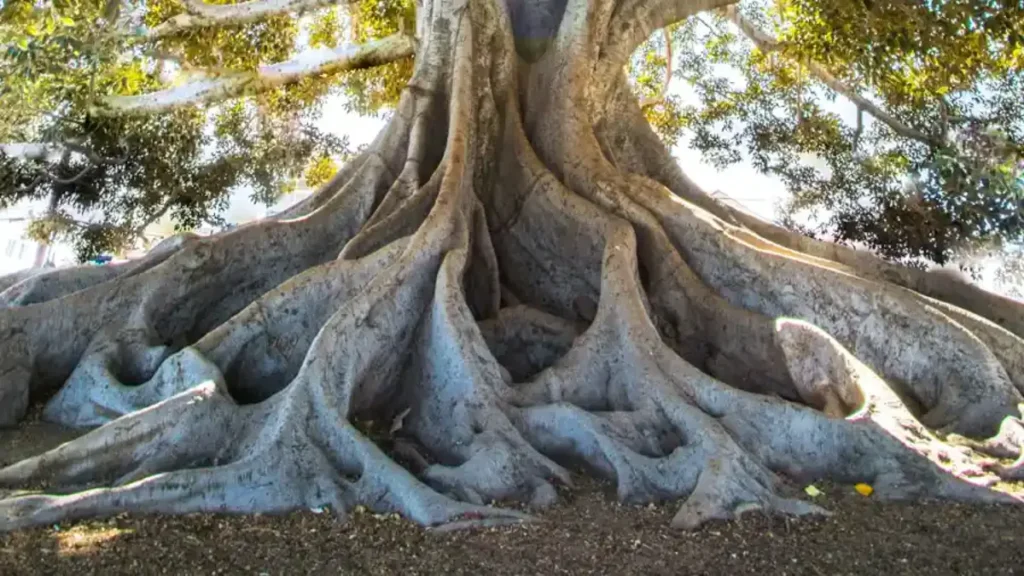 Part 3 Inner Critic Hidden Root Part 3 Inner Critic Hidden Root