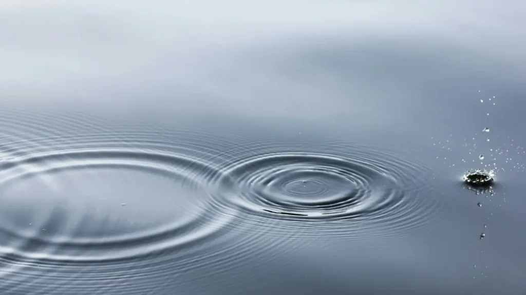 What is CPTSD Lived Experience