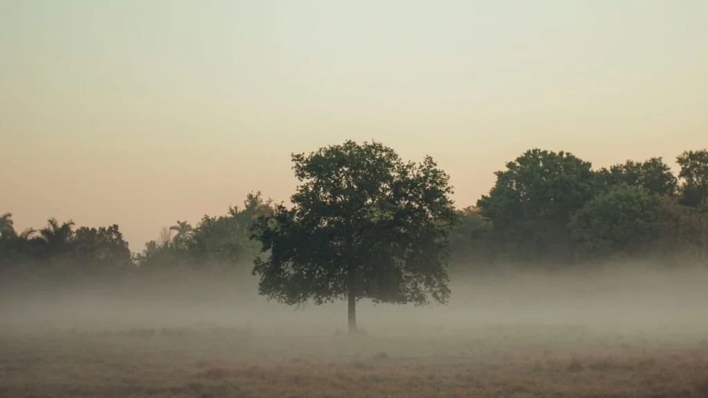 Hidden Emotional Flashbacks Hidden Emotional Flashbacks